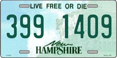 NH license plate 3991409