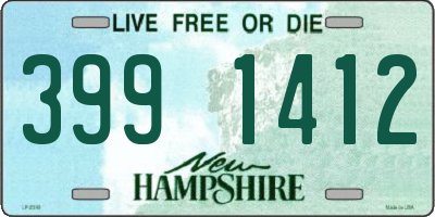 NH license plate 3991412