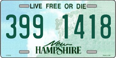 NH license plate 3991418