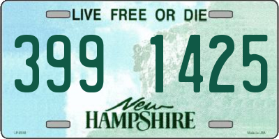 NH license plate 3991425