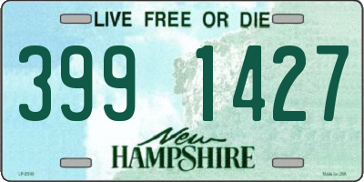 NH license plate 3991427