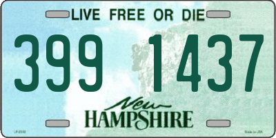 NH license plate 3991437