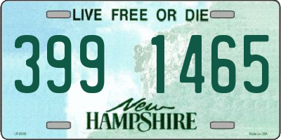 NH license plate 3991465