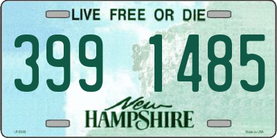 NH license plate 3991485