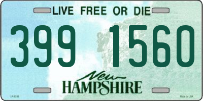 NH license plate 3991560