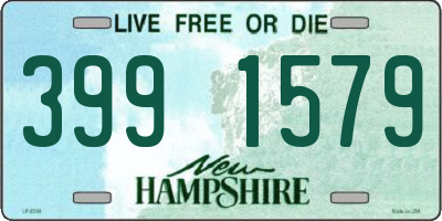 NH license plate 3991579