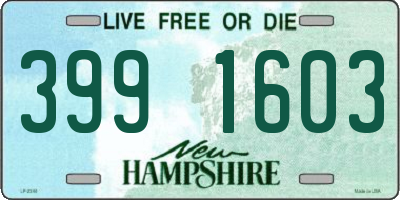 NH license plate 3991603