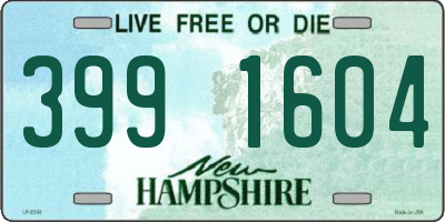 NH license plate 3991604