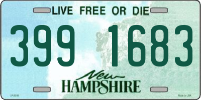 NH license plate 3991683