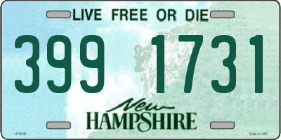 NH license plate 3991731