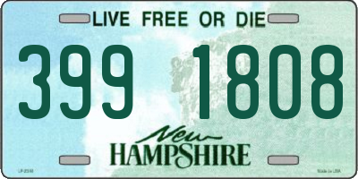 NH license plate 3991808