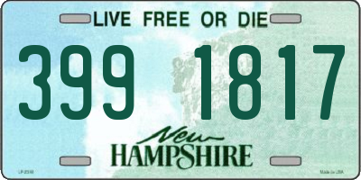 NH license plate 3991817