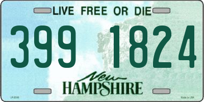 NH license plate 3991824