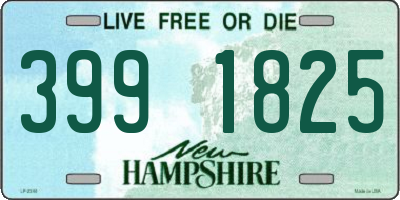 NH license plate 3991825