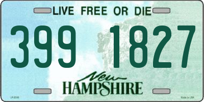 NH license plate 3991827