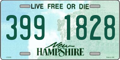 NH license plate 3991828