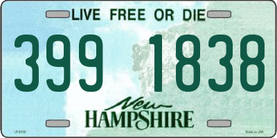 NH license plate 3991838