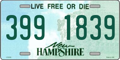 NH license plate 3991839