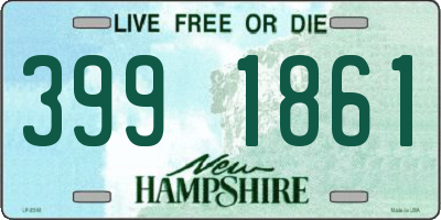 NH license plate 3991861