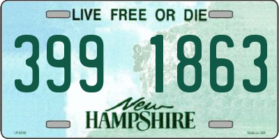 NH license plate 3991863