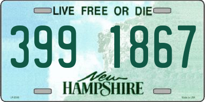 NH license plate 3991867