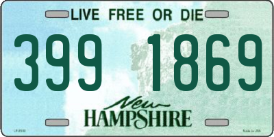 NH license plate 3991869