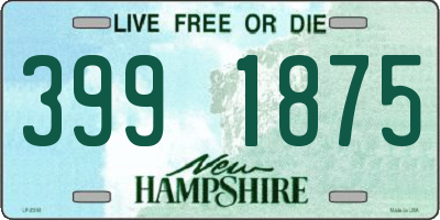 NH license plate 3991875