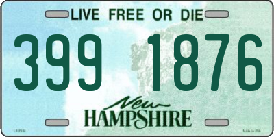 NH license plate 3991876