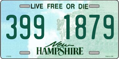 NH license plate 3991879