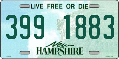 NH license plate 3991883