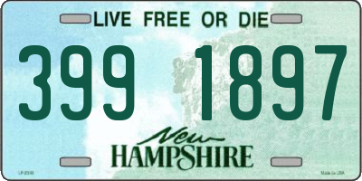 NH license plate 3991897