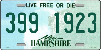 NH license plate 3991923