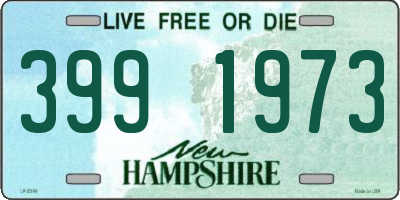 NH license plate 3991973