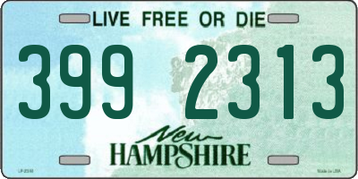 NH license plate 3992313