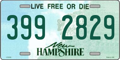 NH license plate 3992829