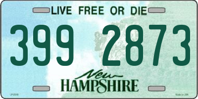 NH license plate 3992873