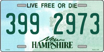 NH license plate 3992973