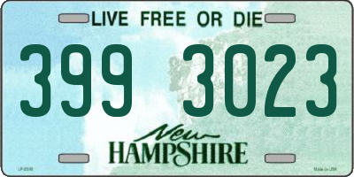 NH license plate 3993023