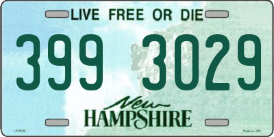 NH license plate 3993029