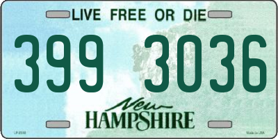 NH license plate 3993036