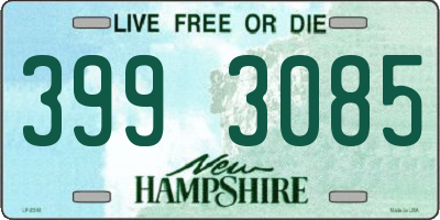 NH license plate 3993085