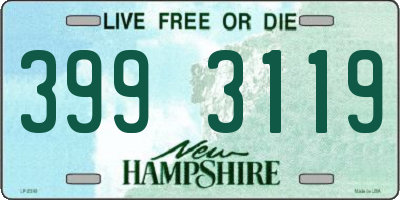 NH license plate 3993119