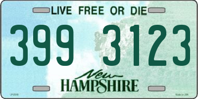 NH license plate 3993123