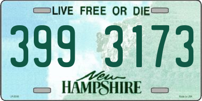 NH license plate 3993173