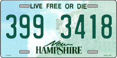 NH license plate 3993418
