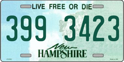 NH license plate 3993423