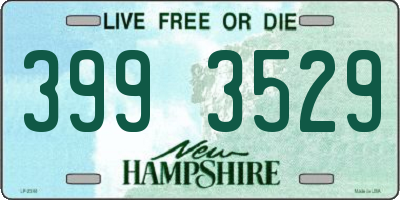 NH license plate 3993529