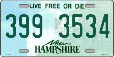 NH license plate 3993534