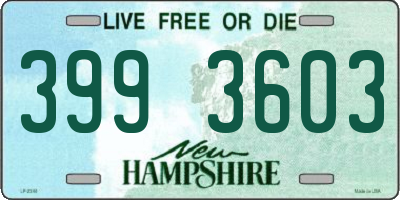 NH license plate 3993603