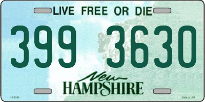 NH license plate 3993630